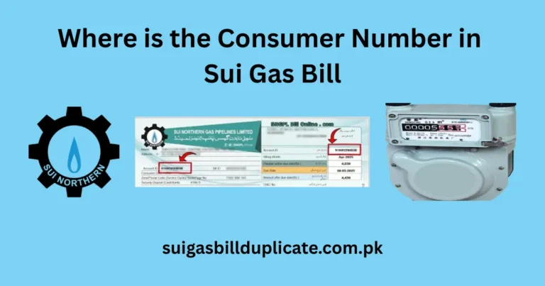 Where is the Consumer Number in Sui Gas Bill