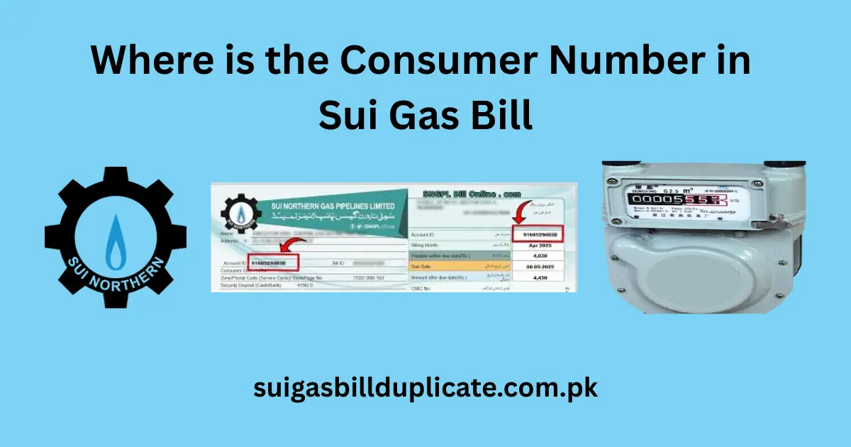 Where is the Consumer Number in Sui Gas Bill